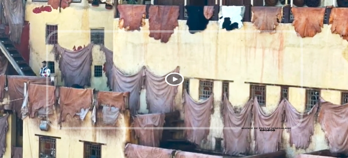 Fès : Là où le cuir façonne des vies