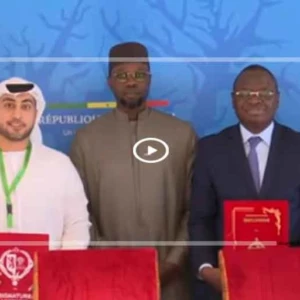 Sénégal–Émirats arabes unis : de nouveaux partenariats structurants