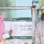 Le Sénégal réceptionne un don de 10 000 carcasses de moutons saoudiens