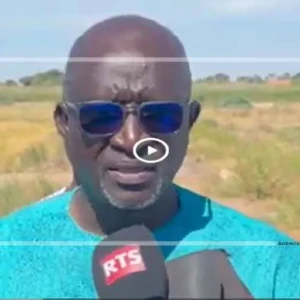 Culture du riz à Ndiol : une mission de l’ISRA en visite sur des parcelles expérimentales