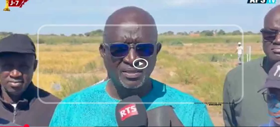 Culture du riz à Ndiol : une mission de l’ISRA en visite sur des parcelles expérimentales