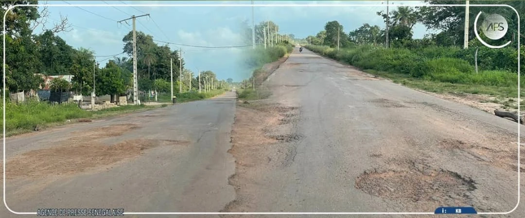 Tournée en Casamance : Bassirou Diomaye attendu sur la vétusté des infrastructures et l’emploi des jeunes