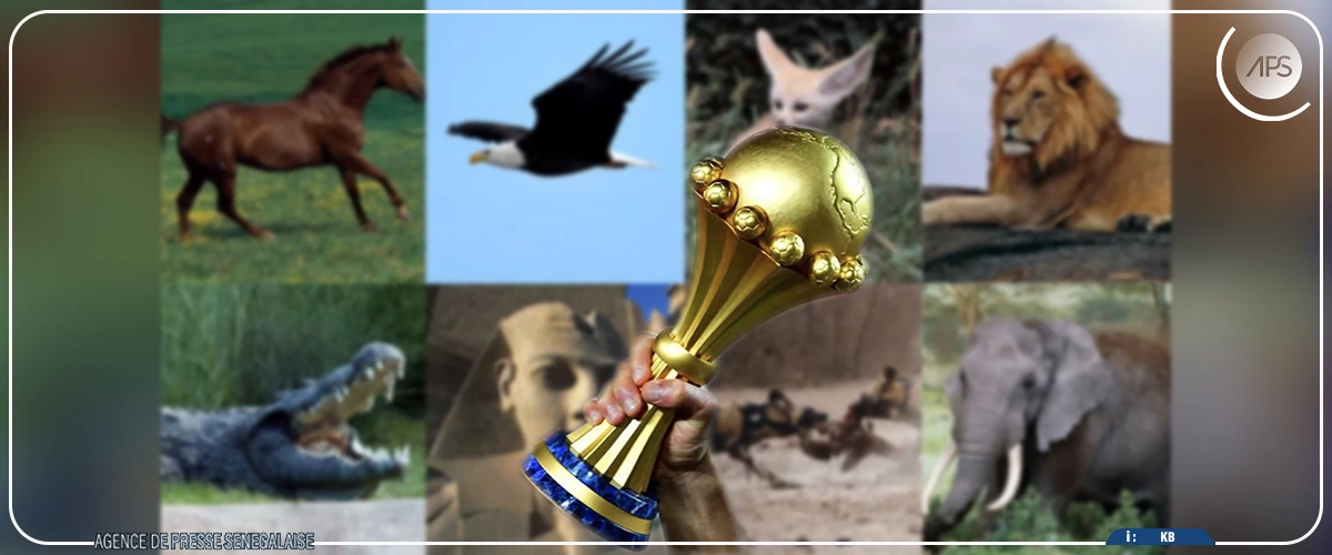 CAN 2025 : les surnoms emblématiques des 24 nations, reflet de l’histoire et de l’identité africaine