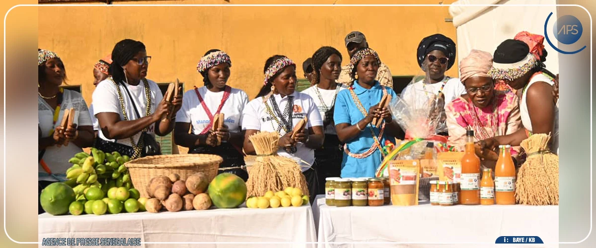 Le chef de l’État satisfait des avancées du Plan Diomaye pour la Casamance