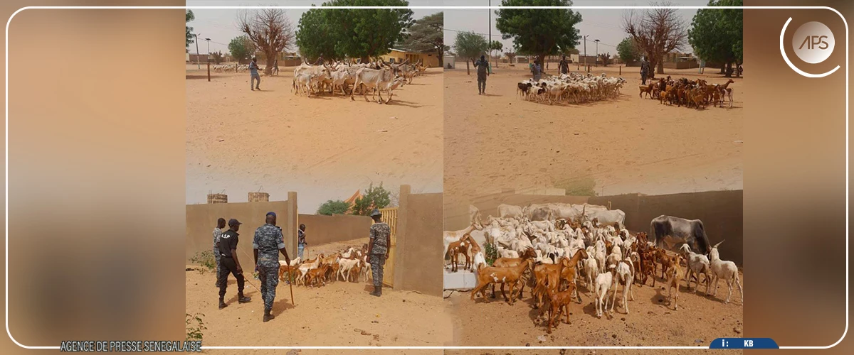 Thilmakha : les assises communales de la sécurité axées sur la lutte contre le vol de bétail