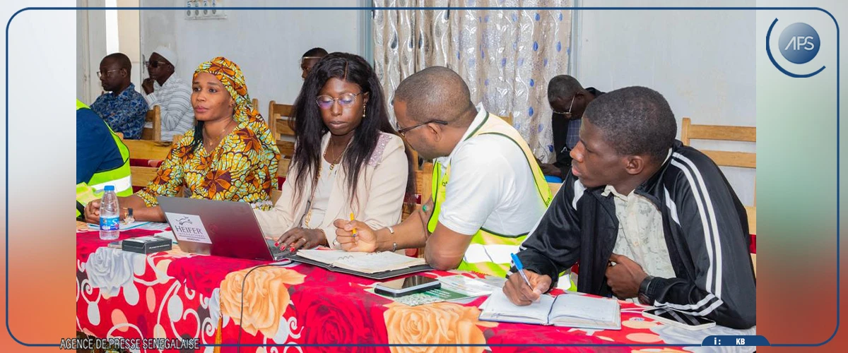 La Haute autorité lance un projet d'élevage à Podor pour l'amélioration des revenus des femmes