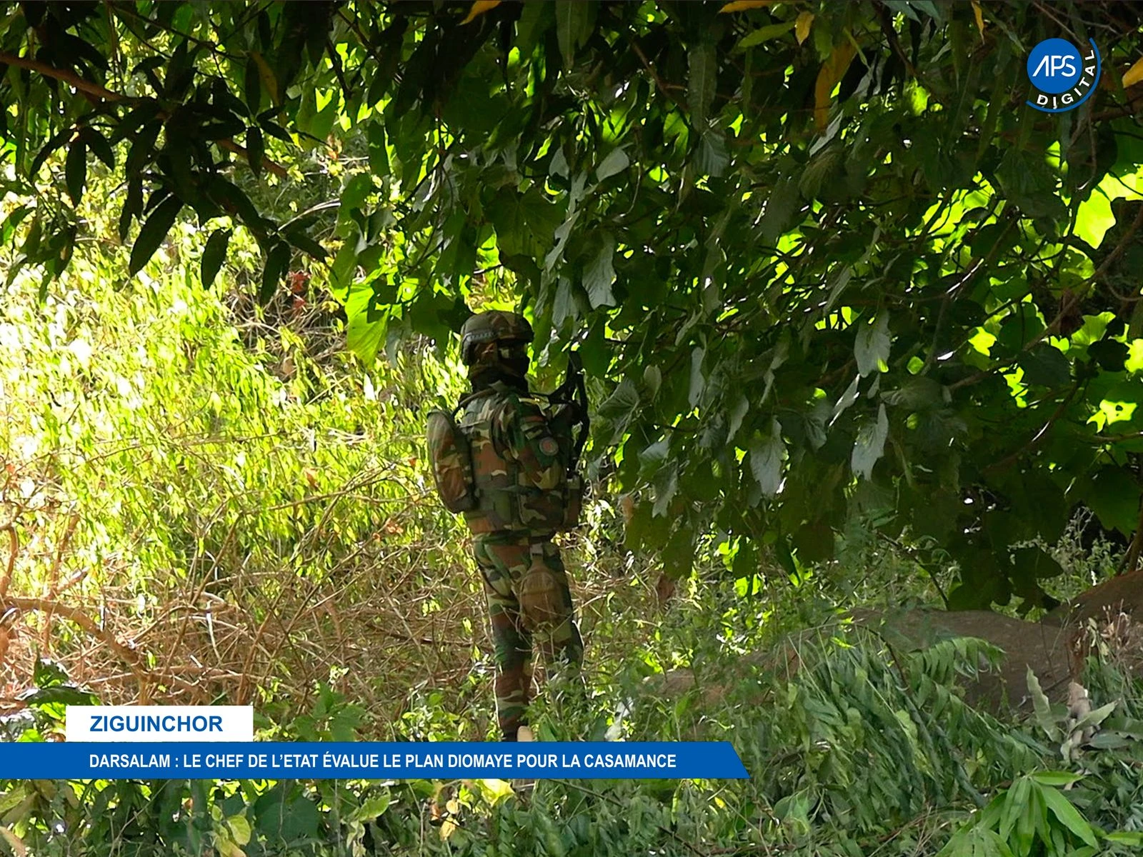 Ziguinchor / Darsalam : Le chef de l'état évalue le plan Diomaye pour la Casamance  