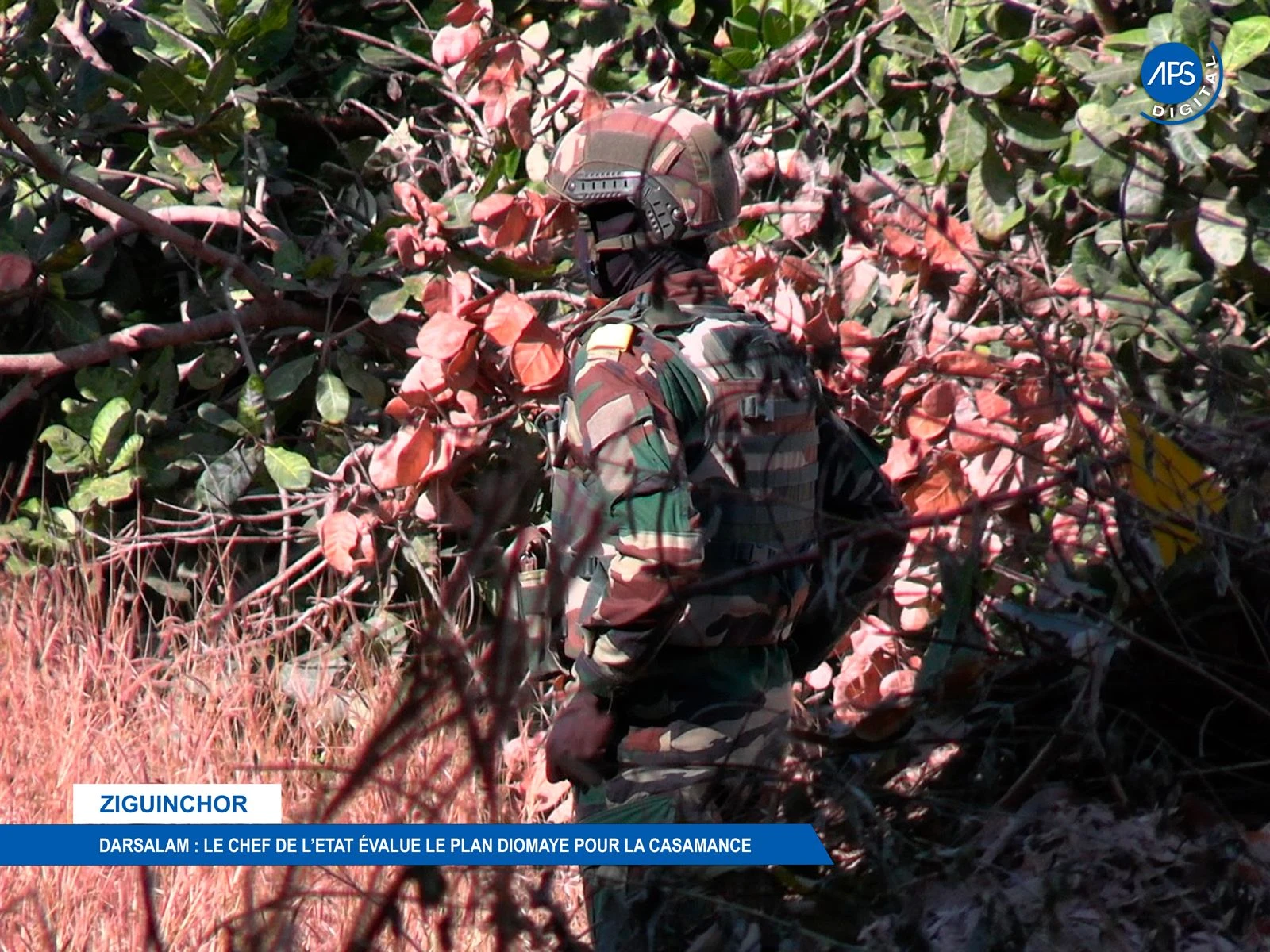 Ziguinchor / Darsalam : Le chef de l'état évalue le plan Diomaye pour la Casamance  