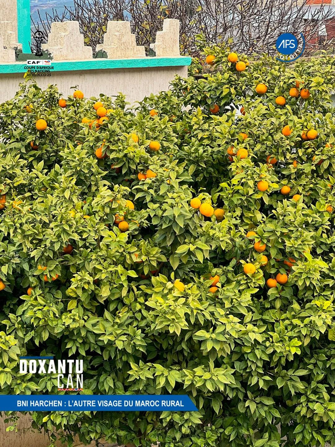 BNI Harchen : l'autre visage du Maroc Rural