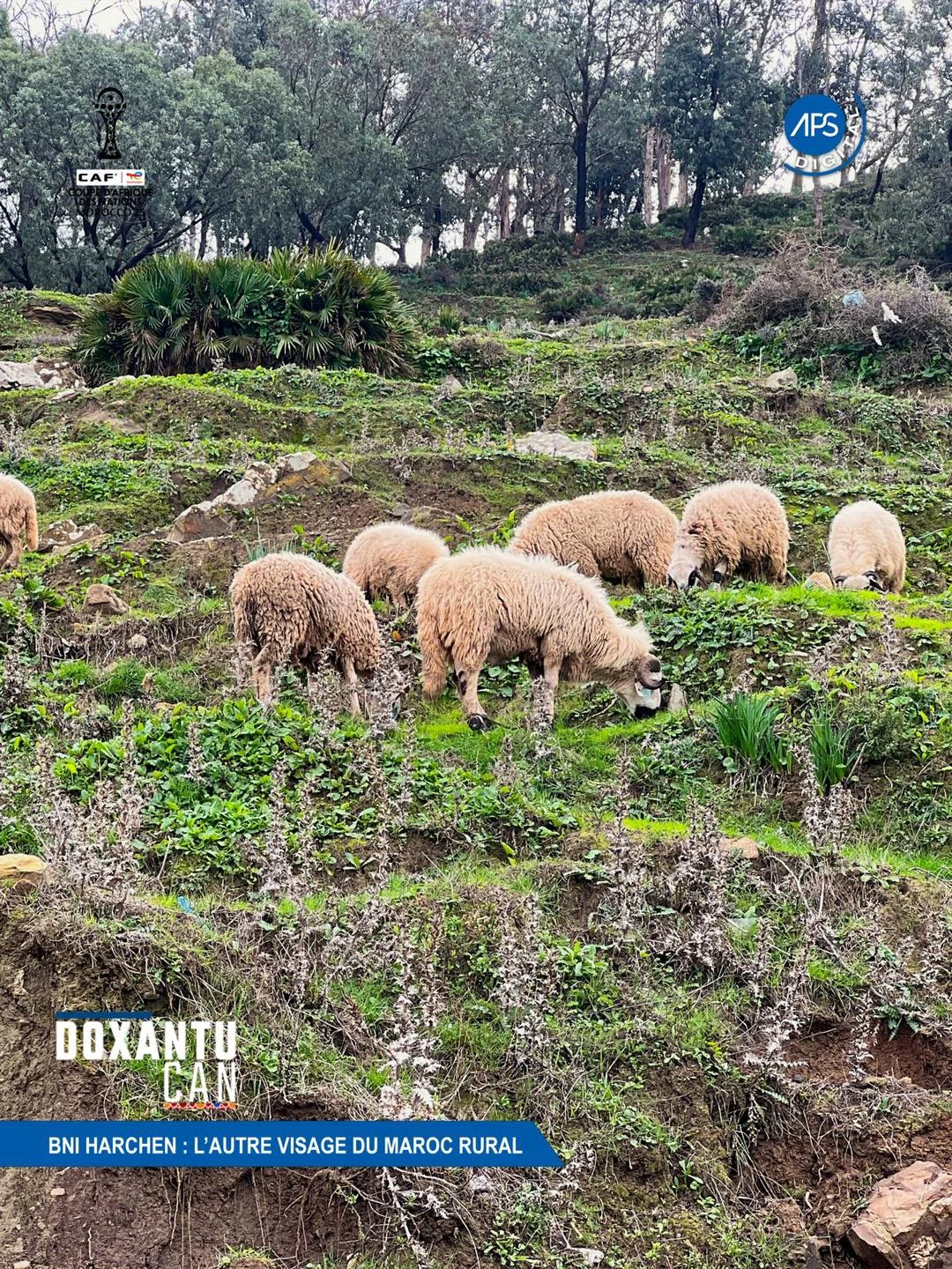 BNI Harchen : l'autre visage du Maroc Rural