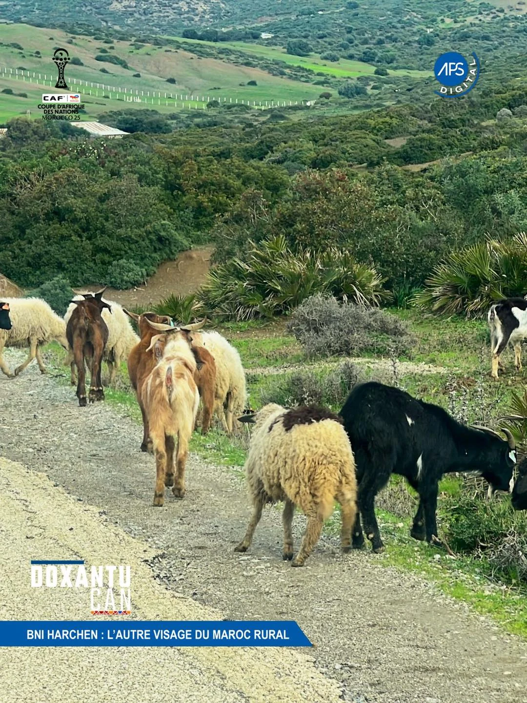 BNI Harchen : l'autre visage du Maroc Rural