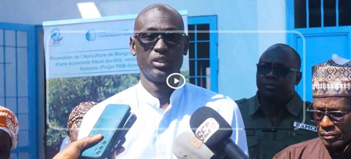 Somone, lancement officiel du projet de Promotion de l’Apiculture de Mangrove