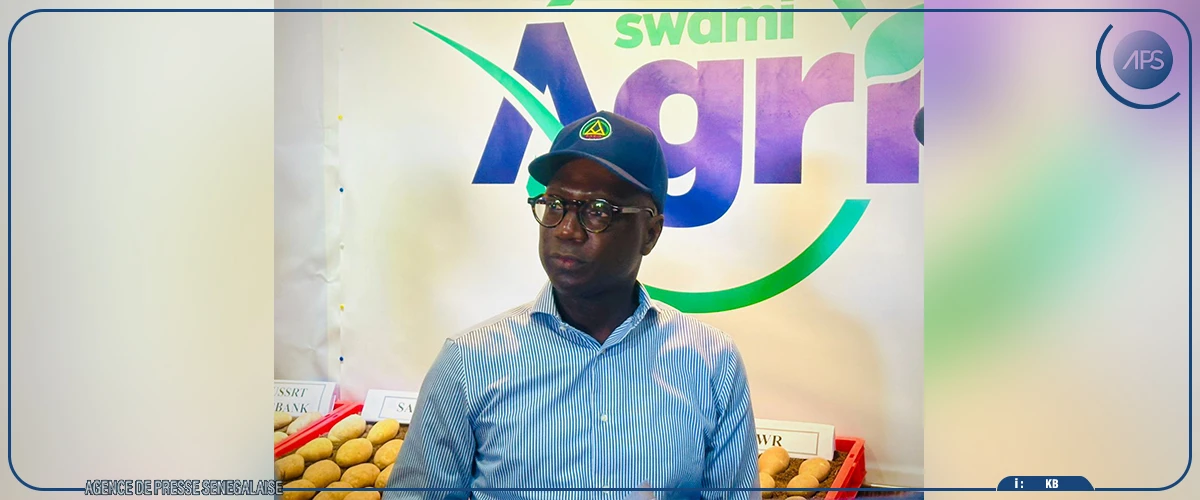 Pomme de terre : Mabouba Diagne annonce une production nationale de plus de 255 000 tonnes