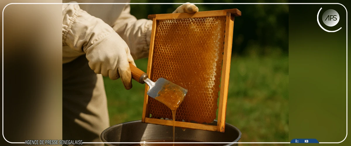 Diarrère: les jeunes invités à se lancer dans l'apiculture