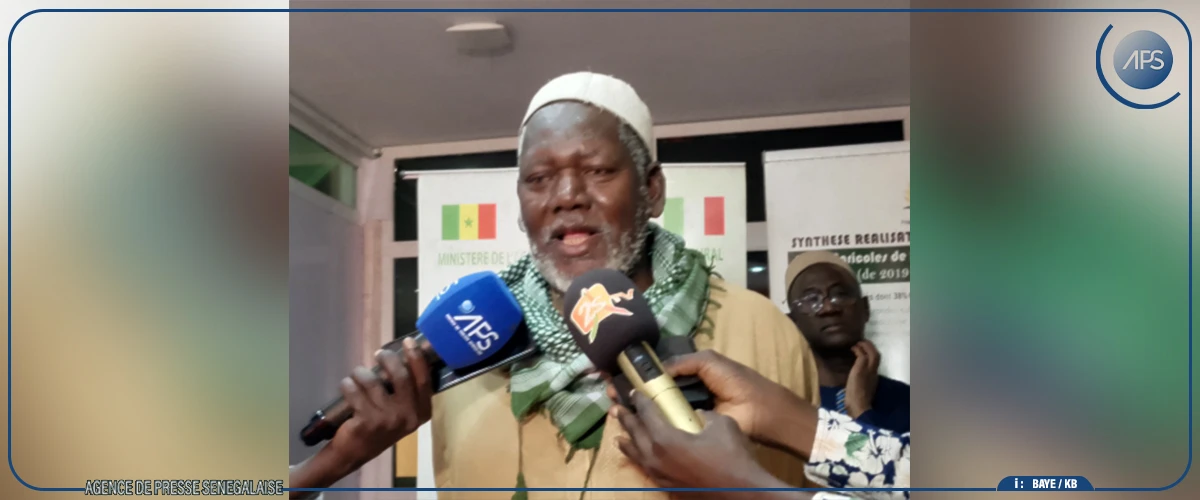 Kaolack : l'atteinte de la souveraineté alimentaire passe par des semences de qualité (chercheur)