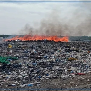 Des produits prohibés d’une valeur de 385 millions de francs incinérés à Saint-Louis