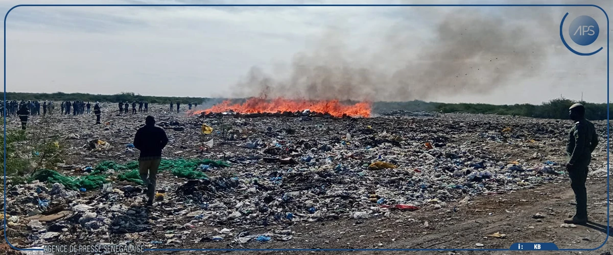 Des produits prohibés d’une valeur de 385 millions de francs incinérés à Saint-Louis