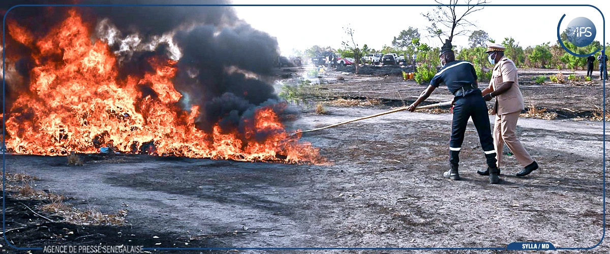 Tambacounda : incinération de produits prohibés d’une valeur de plus de 500 millions francs CFA