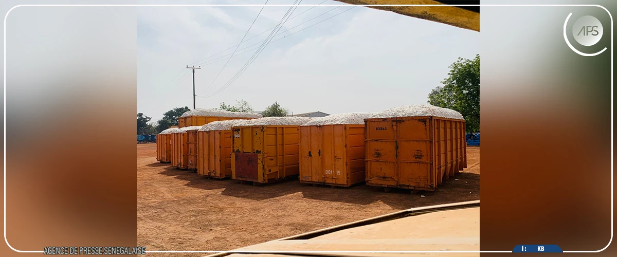 Kédougou : une hausse de 86,73% de la production de coton à mi-parcours (chef de service régional)