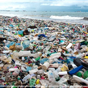 Recyclage des déchets plastiques : Christine Fages plaide pour la mise en place de ''solutions pérennes''