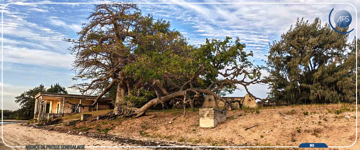 Sur l'île de Dionewar, l'angoisse quotidienne de la montée des eaux
