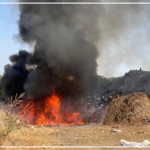 Ziguinchor : cinq tonnes de drogue et des billets noirs d'une contre-valeur de plus de cinq milliards FCFA incinérés