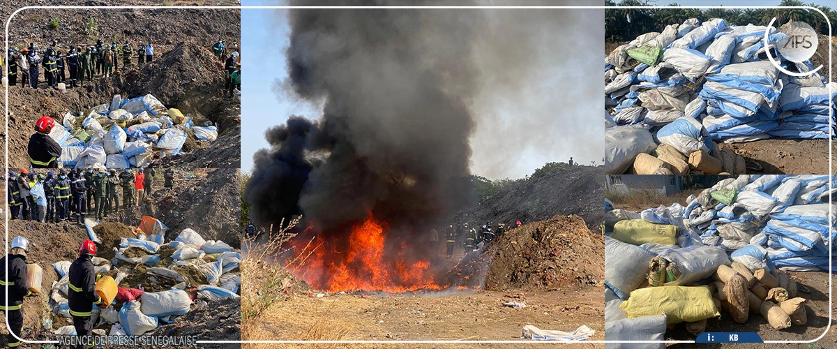 Ziguinchor : cinq tonnes de drogue et des billets noirs d’une contre-valeur de plus de cinq milliards FCFA incinérés
