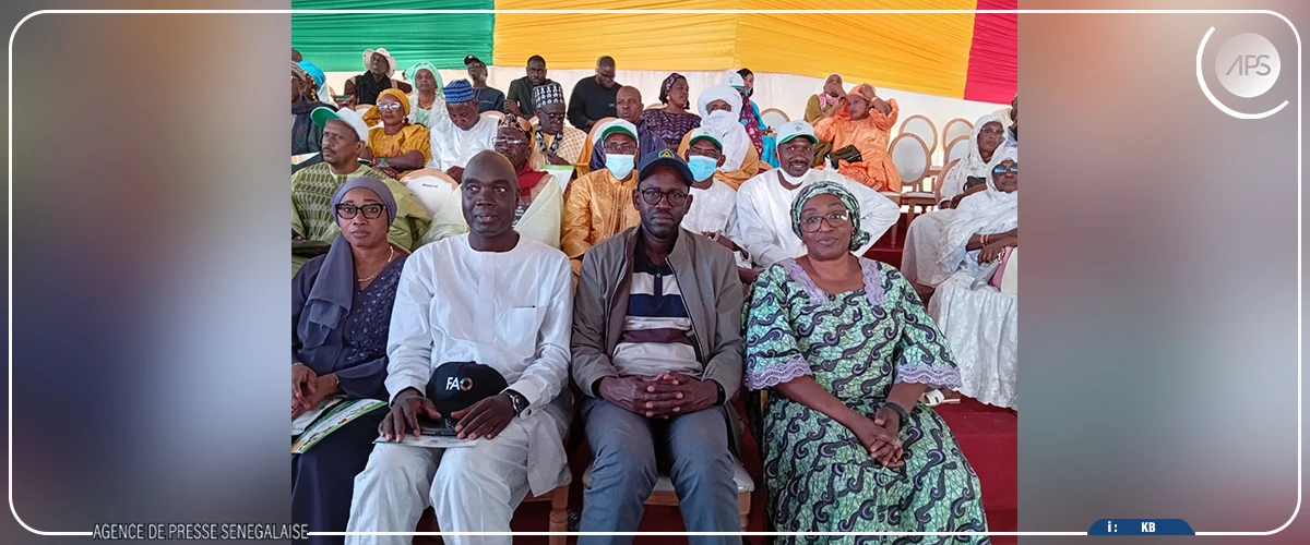 La FAO engagée aux côtés du Sénégal pour la protection du cheptel et la structuration de l’élevage (responsable)