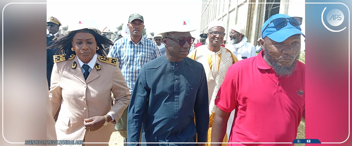 La FAO engagée aux côtés du Sénégal pour la protection du cheptel et la structuration de l’élevage (responsable)