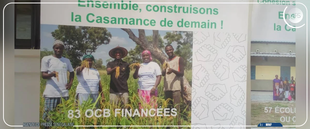 Le Projet de développement économique de la Casamance enregistre des résultats "significatifs" (coordonnateur)