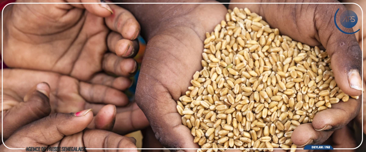 Afrique de l’Ouest et Sahel : l’insécurité alimentaire aiguë guette près de 52,8 millions de personnes (FAO)