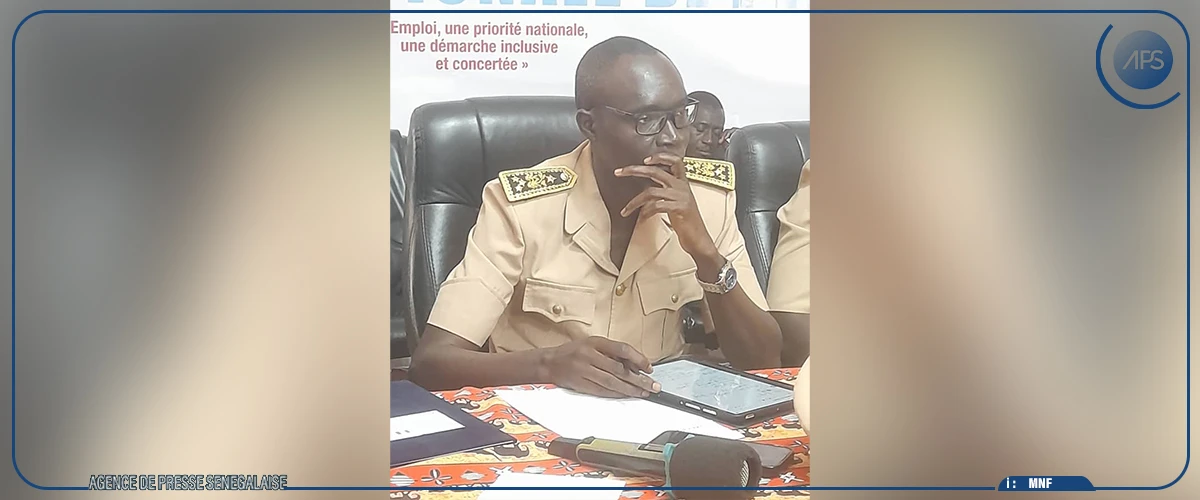 Sédhiou : l’élaboration de la Politique nationale de l’emploi au menu d'un CRD