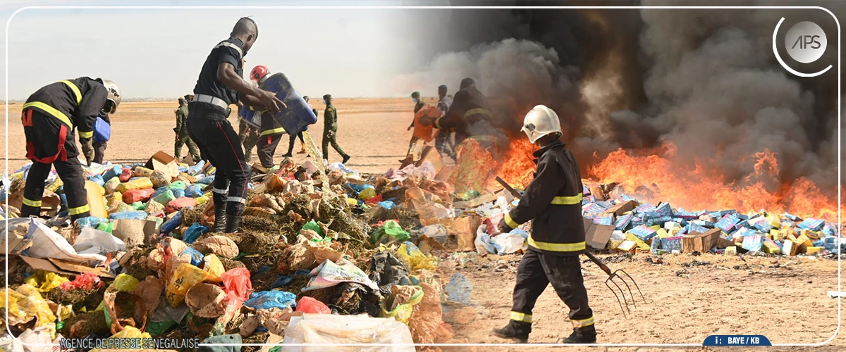 Kaolack : incinération de produits prohibés d’une contrevaleur de près de six milliards de francs CFA