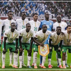 Les Lions ont salué leur "match plein de caractère" face au Aigles