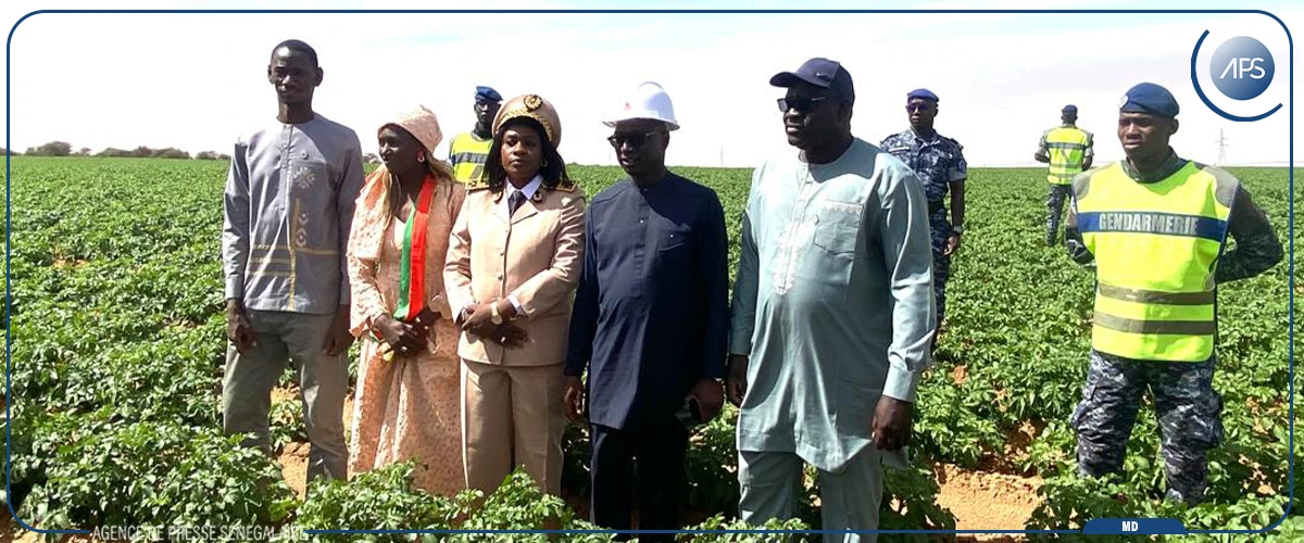 Louga : lancement de la campagne nationale de vaccination du cheptel et d’une coopérative agricole communautaire