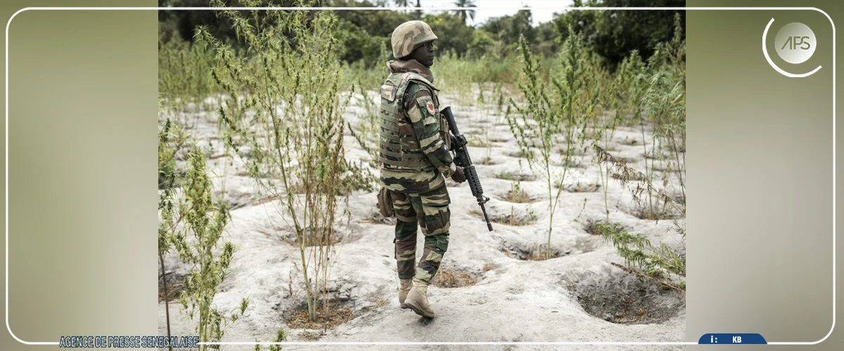 Centrafrique : un militaire sénégalais de la MINUSCA tué dans un accident de voiture