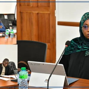 Produits d’hygiène de Softcare : la mission d’information parlementaire a entamé ses auditions