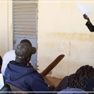 Saint-Louis : les jeunes invités à s'investir dans l'apiculture, créneau rentable et peu contraignant