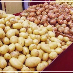 Pomme de terre et oignon : suspension des importations à compter du 16 janvier