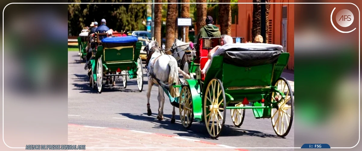 Marrakech, entre patrimoine vivant et effervescence urbaine