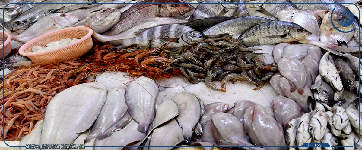 Diourbel : l’accès au poisson reste un défi pour les ménages