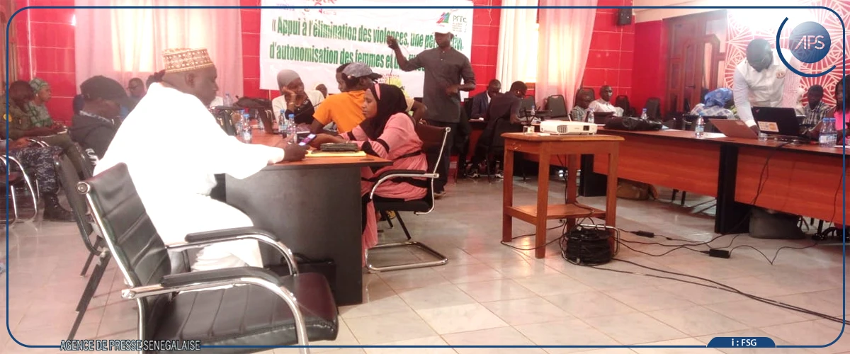 Sédhiou : des acteurs élaborent un plan d'action harmonisé contre les VBG