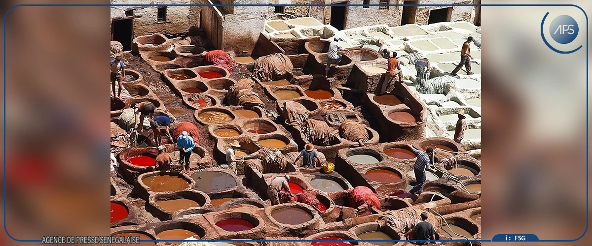 Au cœur de la tannerie Chouara de Fès, héritage d’un savoir-faire millénaire