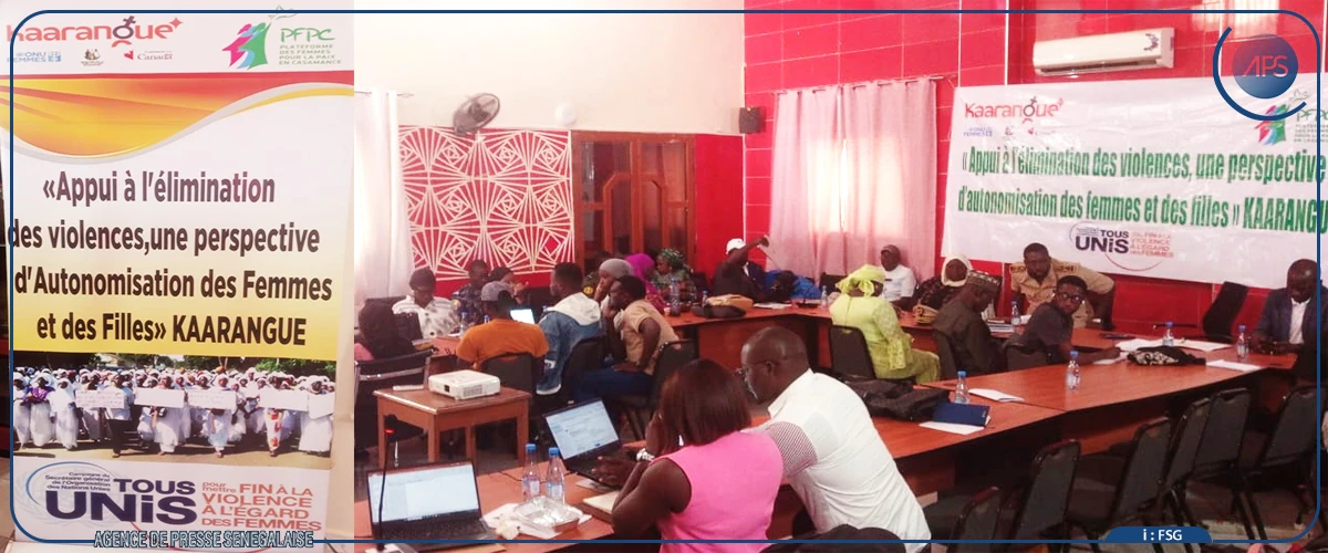 Sédhiou : des acteurs élaborent un plan d’action harmonisé contre les VBG