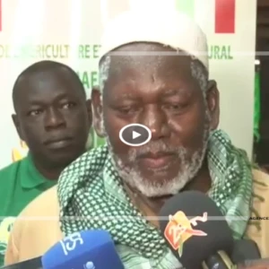 Kaolack : des producteurs rizicoles plaident pour davantage de soutien pour booster la production