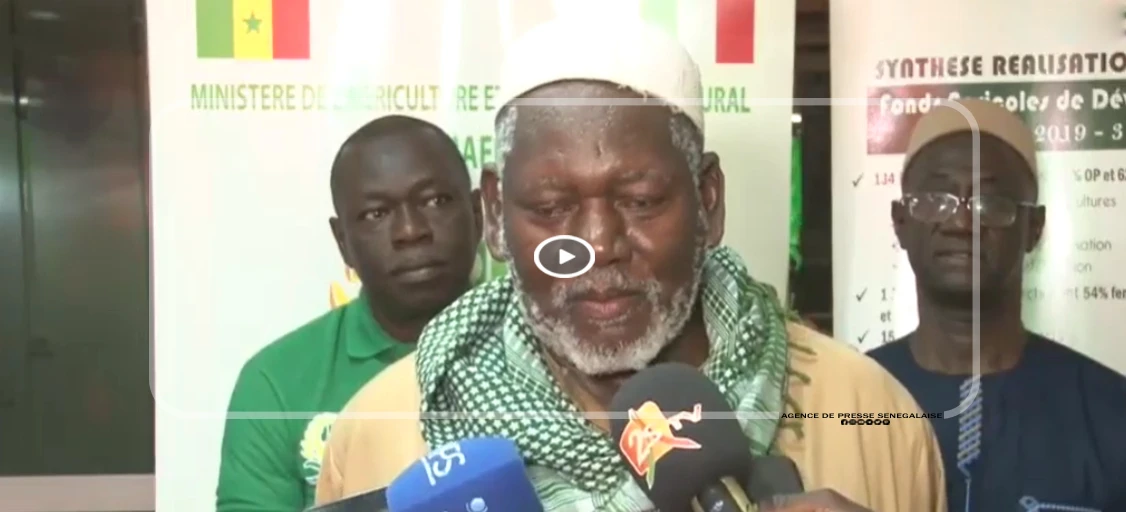 Kaolack : des producteurs rizicoles plaident pour davantage de soutien pour booster la production