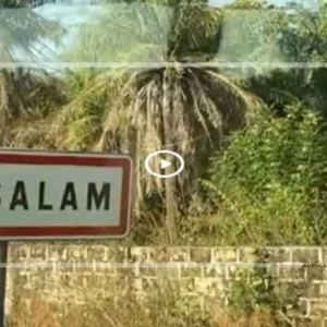 Darsalam (Niassya) : le retour à la terre natale, un chemin entre espoir et reconstruction