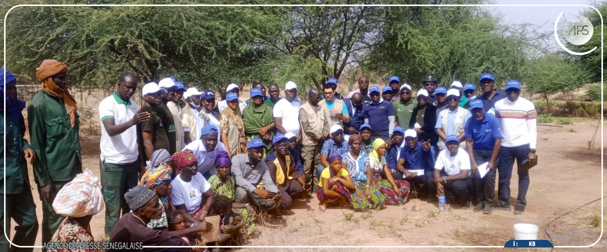 Lutte contre la désertification : des experts nigérians s’inspirent de l’expérience de la réserve sénégalaise de Koyli Alpha