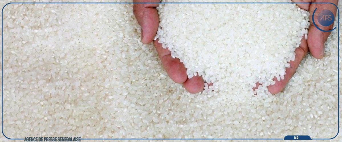 Sédhiou : le comité régional de la consommation entérine les nouveaux prix du riz brisé
