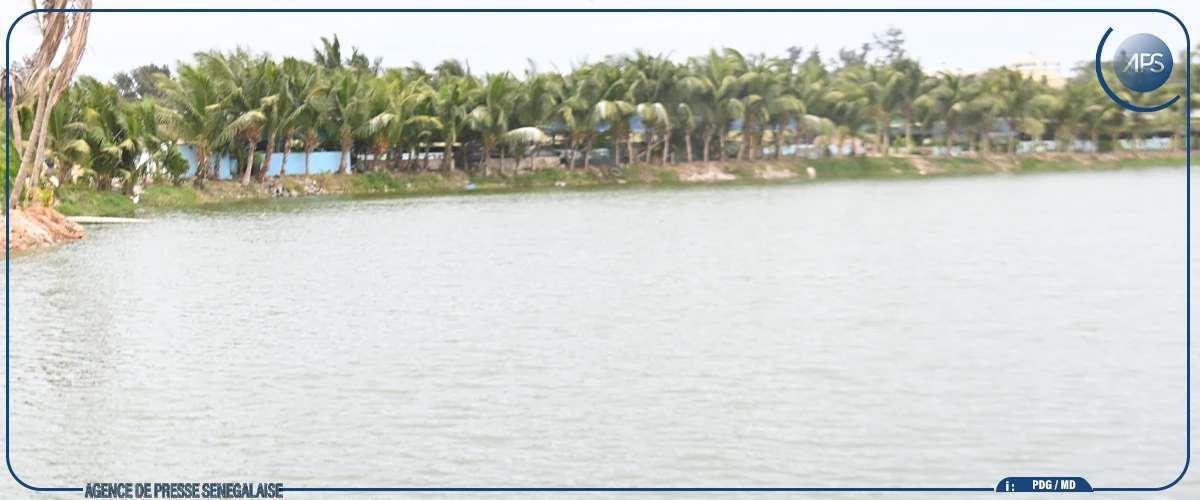 Gestion de la RNU de la Grande Niaye de Pikine : des ''solutions consensuelles'' préconisées